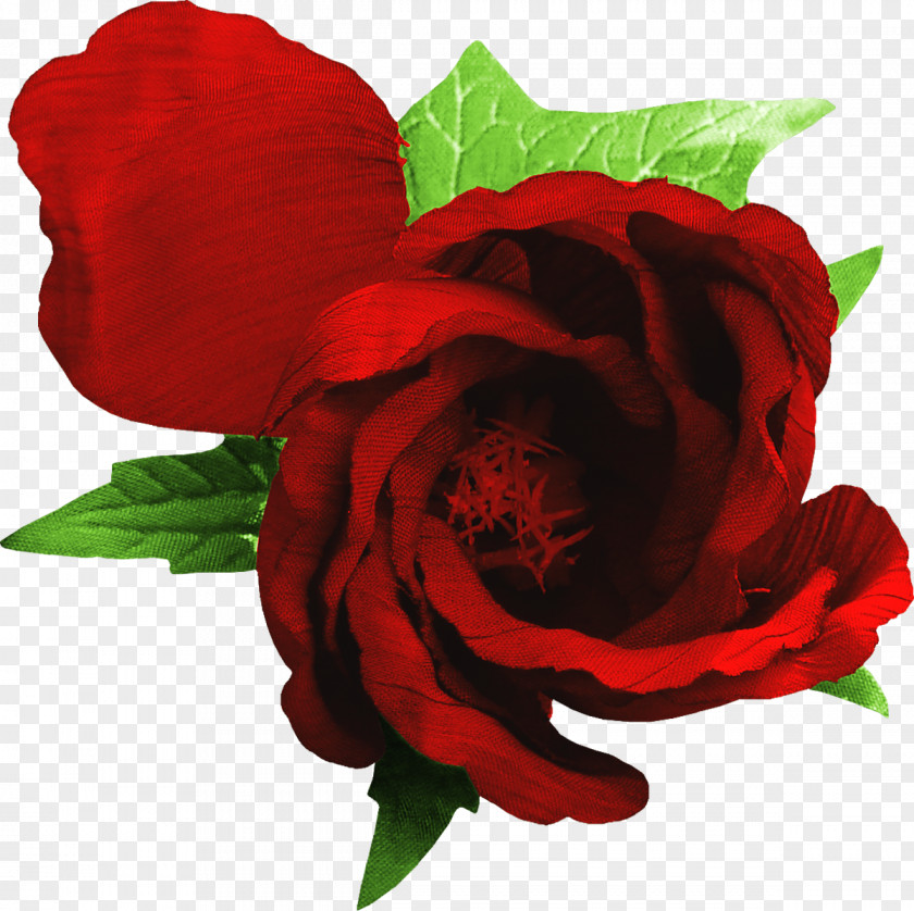 Tiff Flower Rose Clip Art PNG
