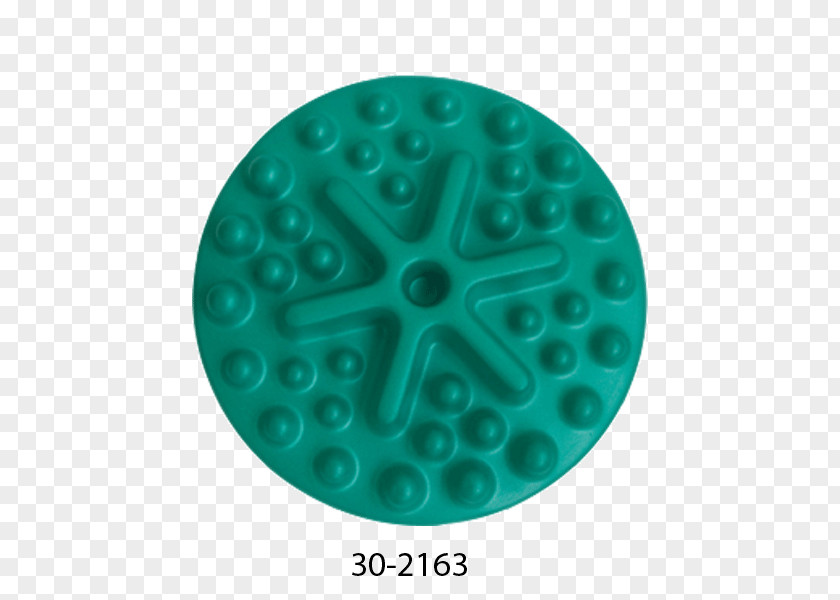 Circle Turquoise Diameter Organism PNG