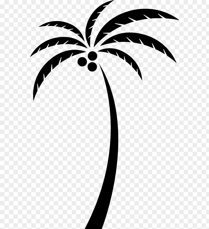 Coconut Arecaceae Tree PNG , tree silhouette clipart PNG