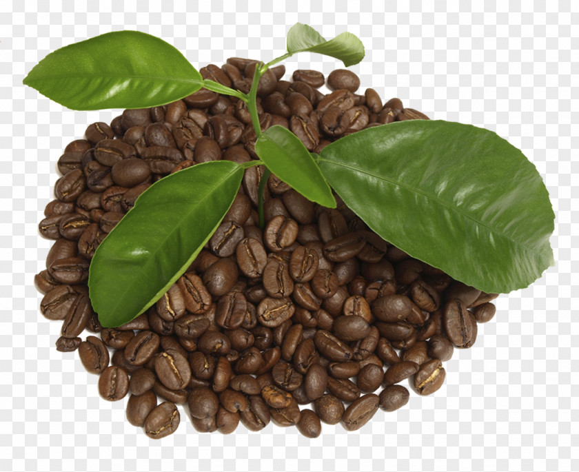 Coffee Beans Bean Tea Cafe Cup PNG