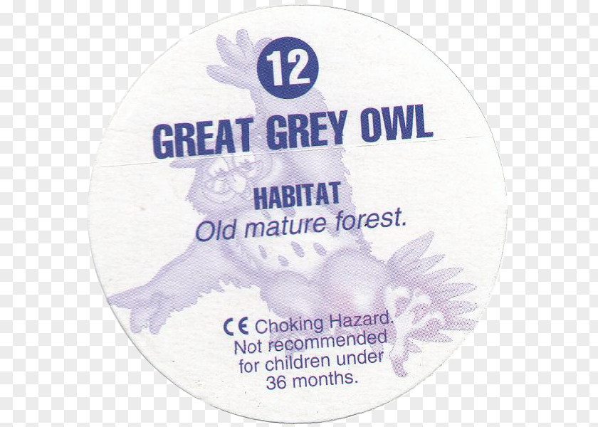 Great Grey Owl Horned Bird Of Prey PNG
