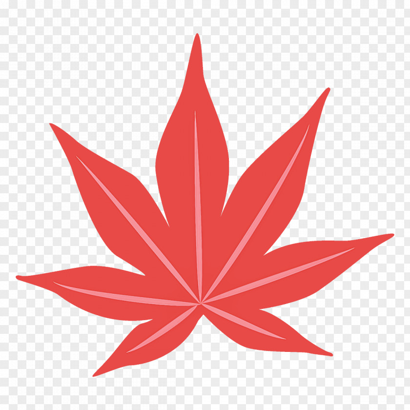 Maple Leaf Autumn Fall PNG