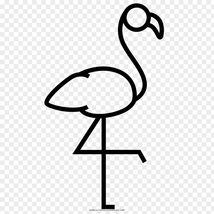 Painting Flamingos F.C. Black And White Greater Flamingo Drawing Beak PNG