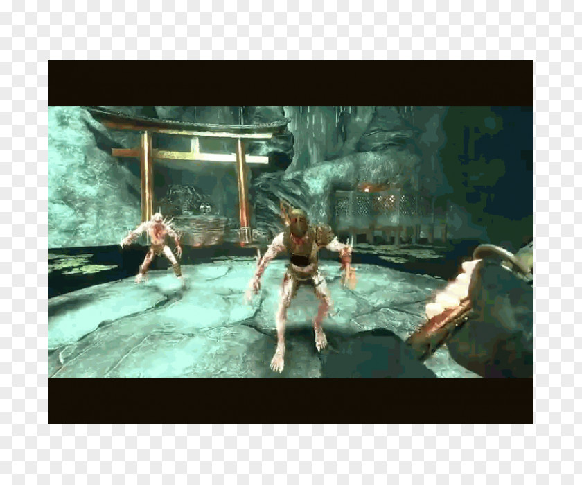 Shadow Warrior Water PC Game Recreation Organism PNG