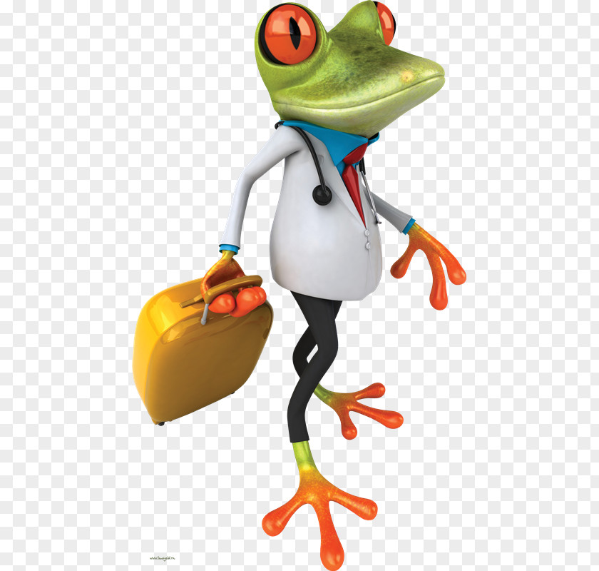 Xa Frog Oil Painting Canvas PNG