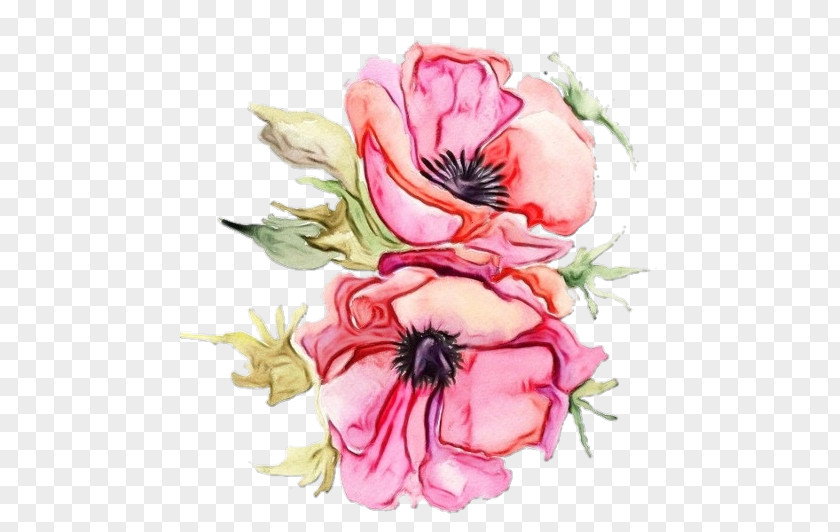 Anemone Cut Flowers Flower Pink Petal Plant Watercolor Paint PNG