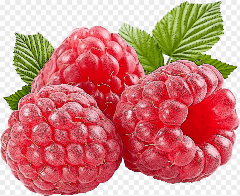 Berry Fruit Raspberry Blackberry Rubus PNG