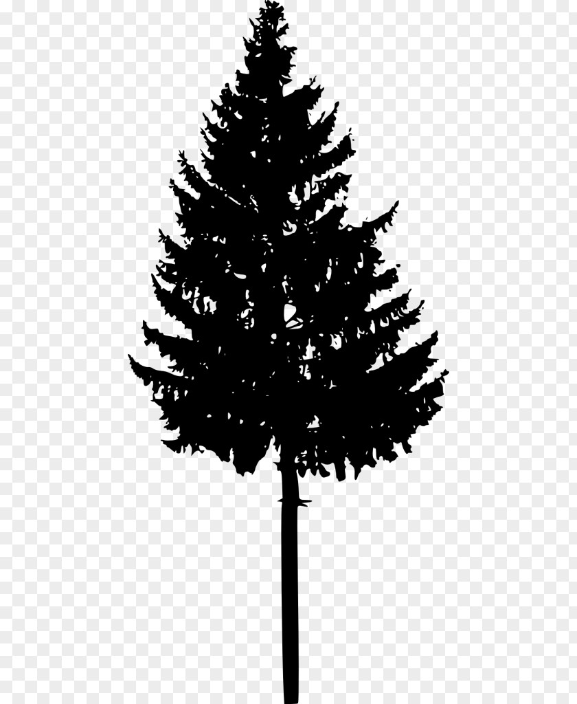 Christmas Silhouette Tree Spruce Fir PNG