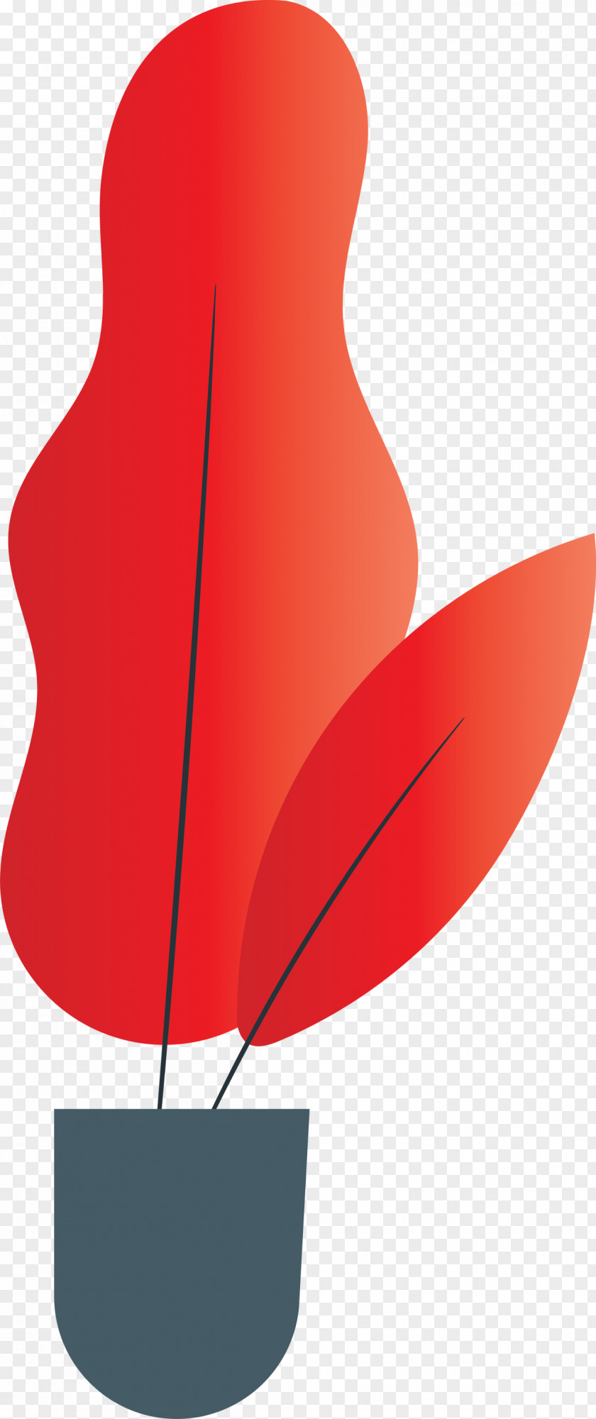 Flower Leaf Angle Hat Plants PNG