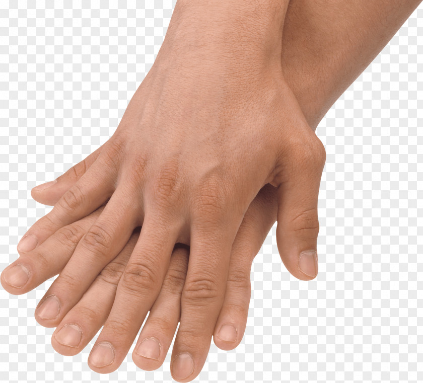 Hands Hand Image Clip Art PNG