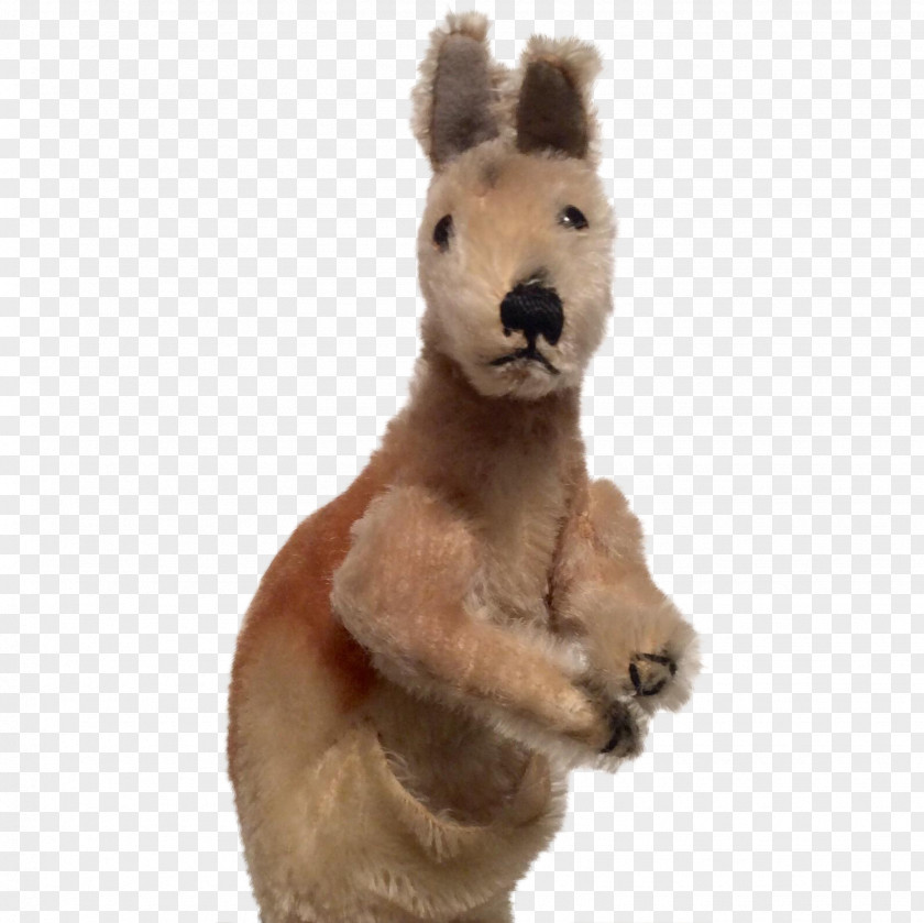 Kangaroo Macropodidae Horse Stuffed Animals & Cuddly Toys Marsupial PNG