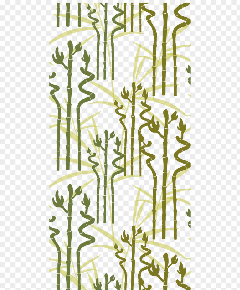 Lucky Bamboo Background Shading Vector Material Euclidean PNG