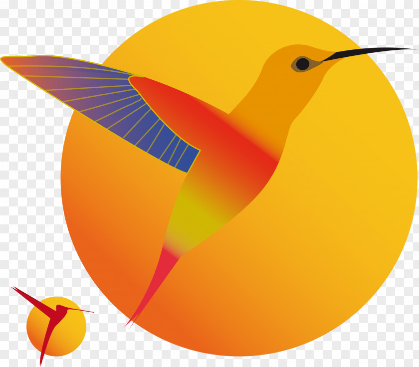 Watch Hummingbird Clip Art PNG