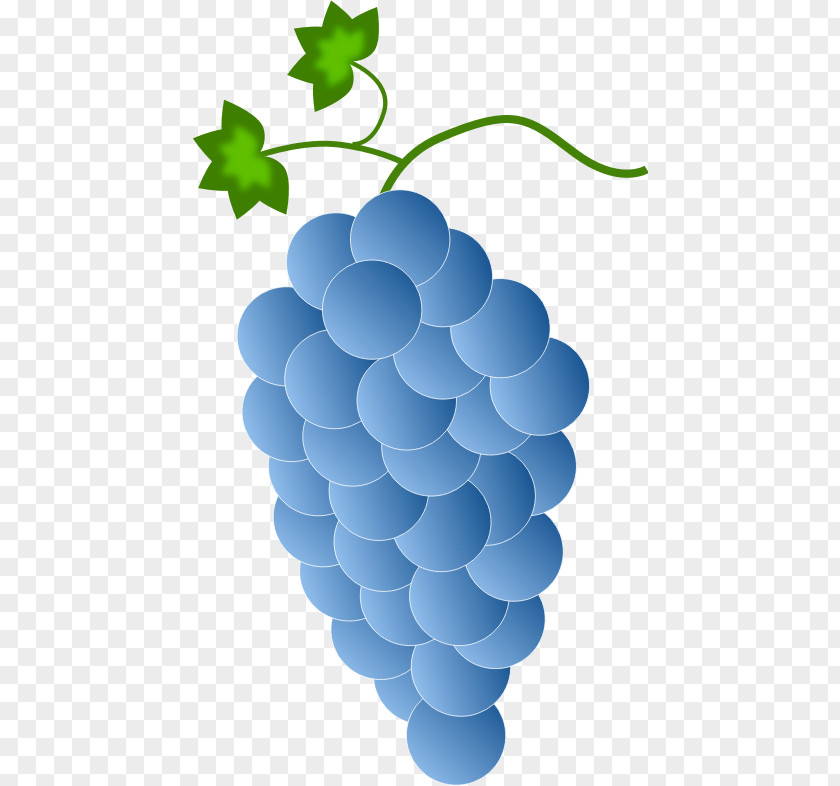 Wine Concord Grape Kyoho Clip Art PNG