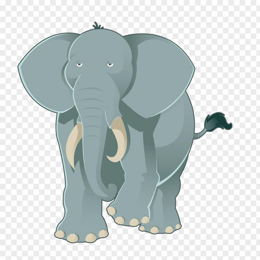 Cartoon Elephant Illustration PNG