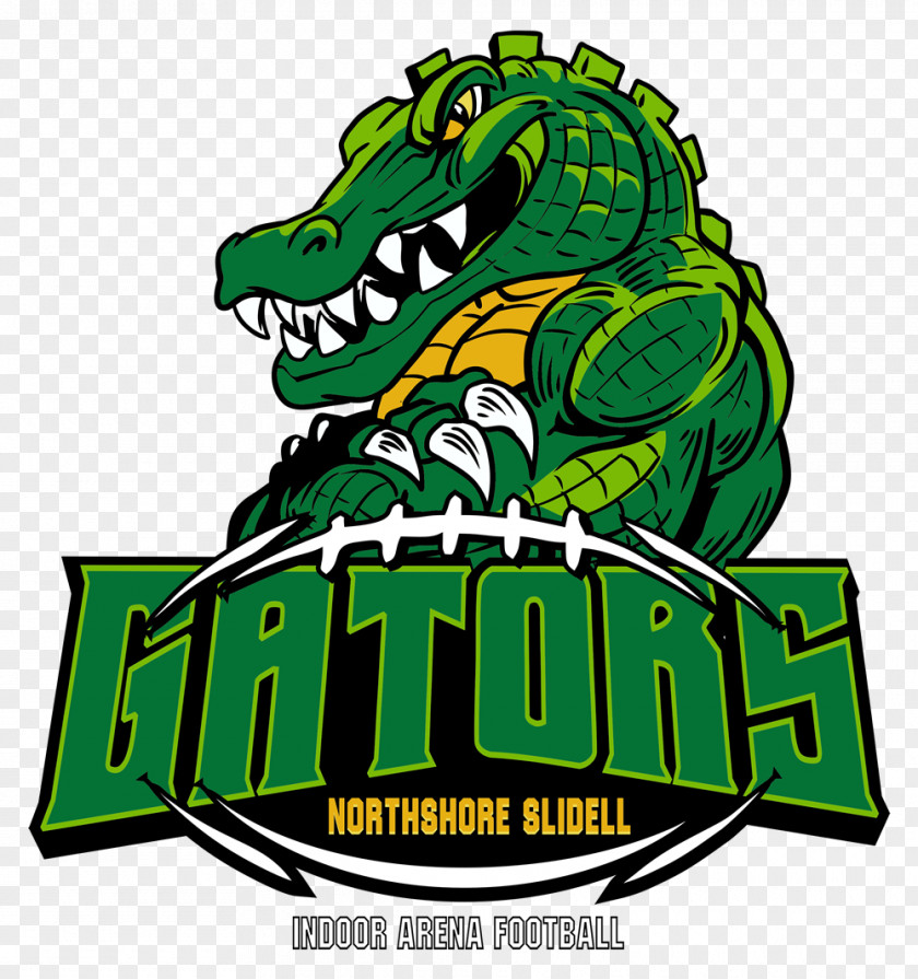 Crocodile American Alligator Football Clip Art PNG