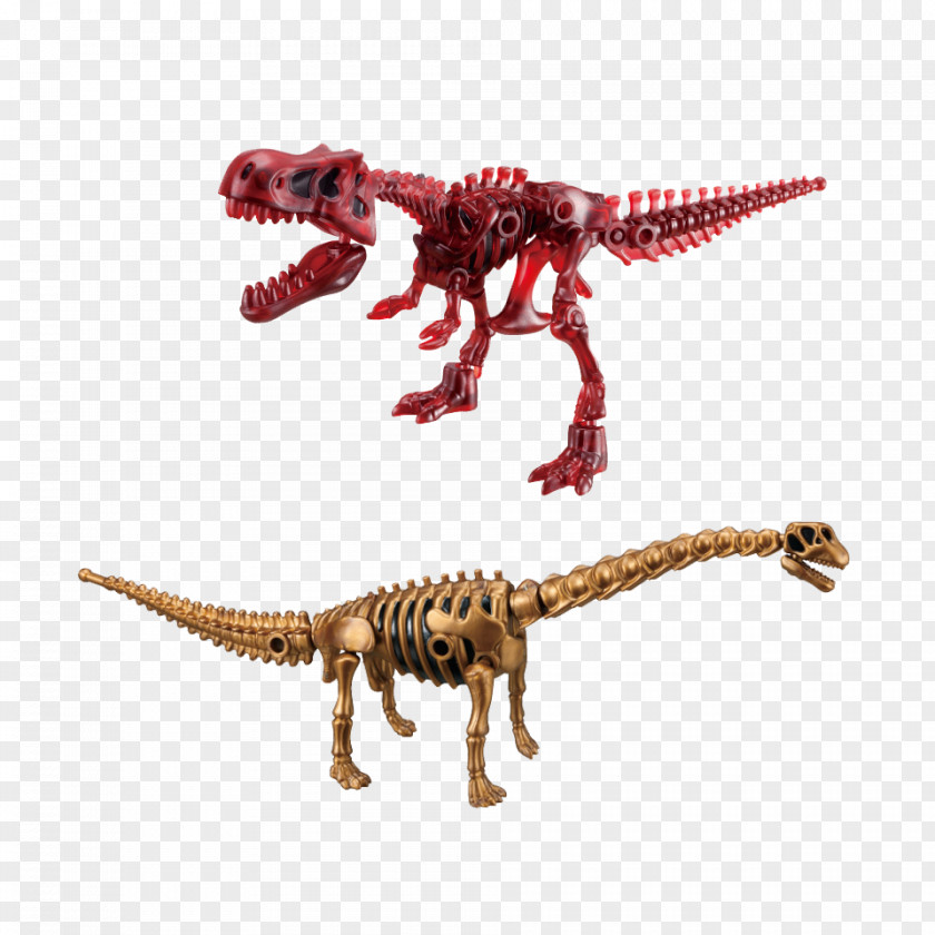 Dinosaur Fukui Prefectural Museum Velociraptor Tyrannosaurus Kabaya PNG