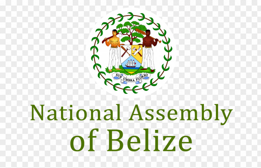 Flag Of Belize Coat Arms Stock Photography PNG