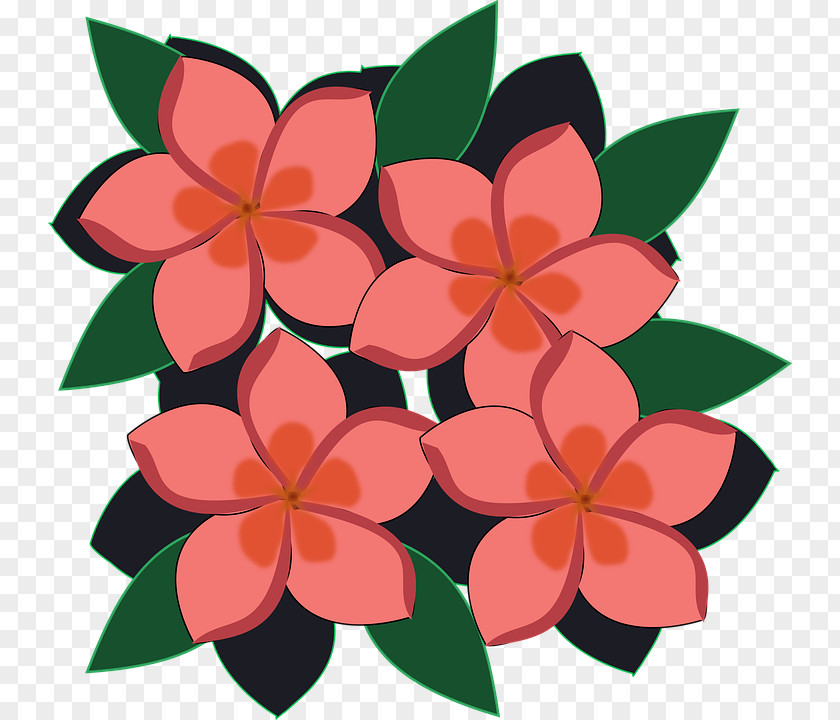 Flower Clip Art PNG