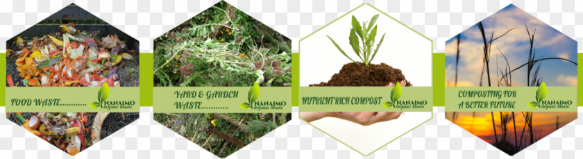 Organic Trash Food Compost Green Waste Biodegradable PNG