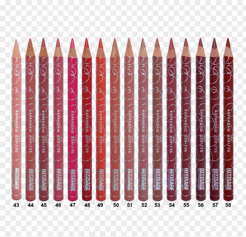 Pencil Lip Balm Cosmetics Face PNG