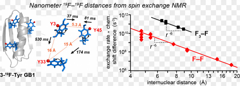 Solidstate Nuclear Magnetic Resonance Magic Angle Spinning Cholesterol Binding M2 Proton Channel PNG