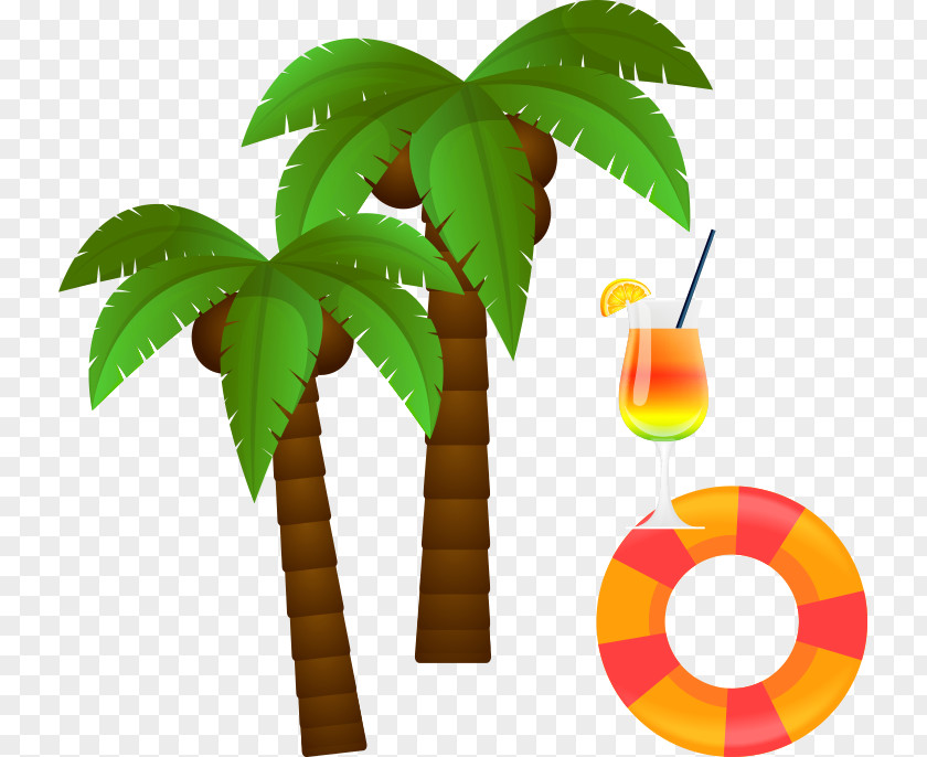 Coconut Tree Euclidean Vector PNG