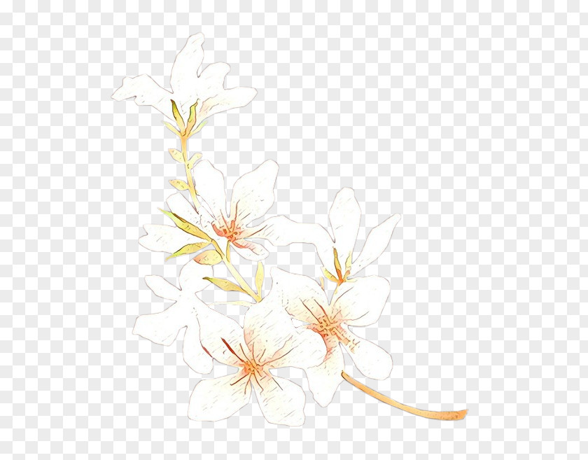 Floral Design Illustration Desktop Wallpaper Plant Stem PNG