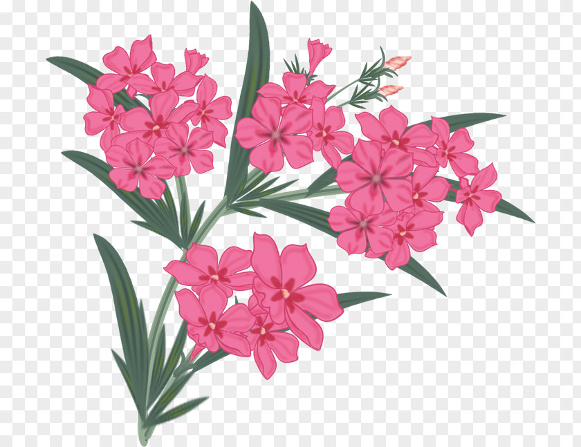 Flower Floral Design Petal Painting PNG