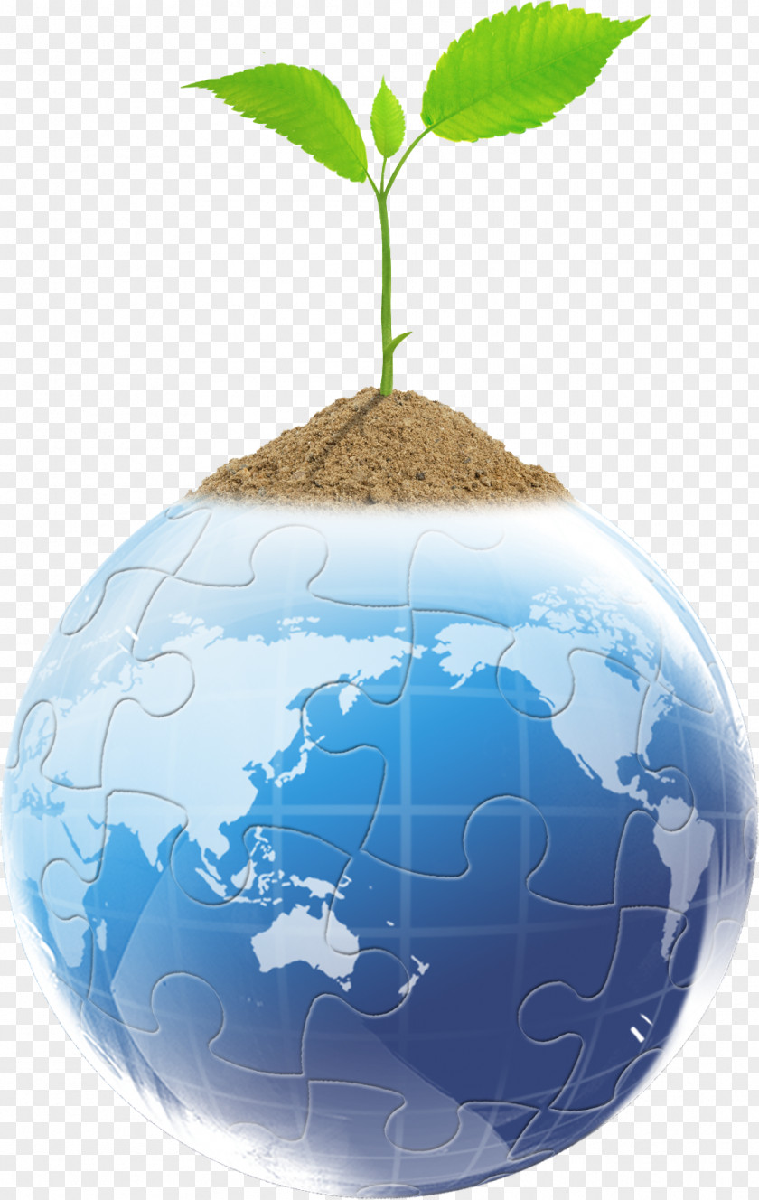 Globular Earth Long Grass Creative Leaves United States Australia Business Organization Company PNG
