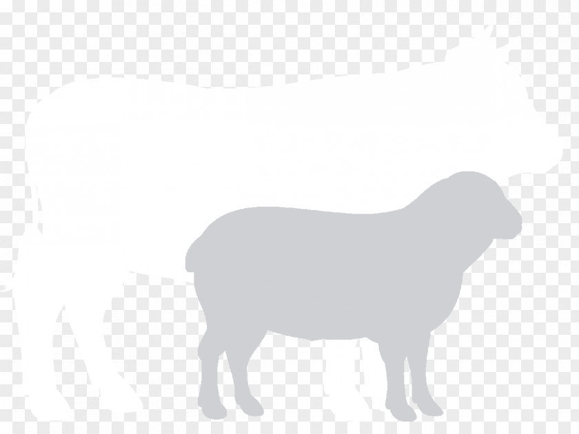 Grazing Cows Sheep Cattle Dog Goat Horn PNG