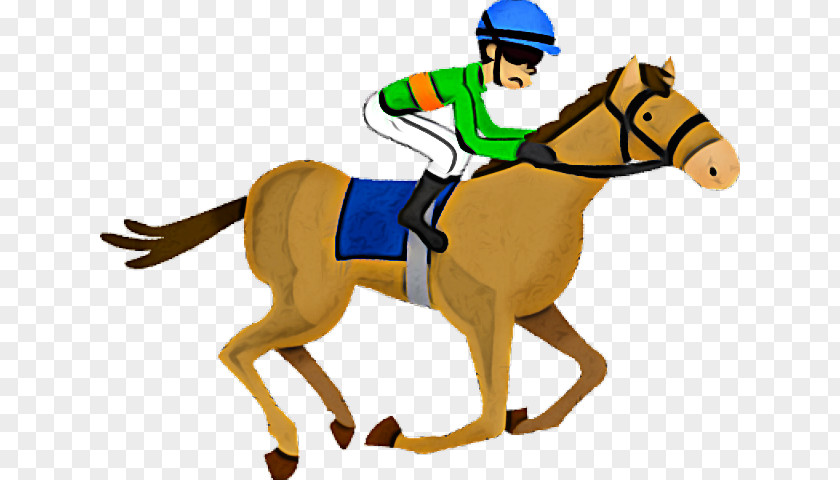 Jockey Horse Rein Bridle Supplies PNG