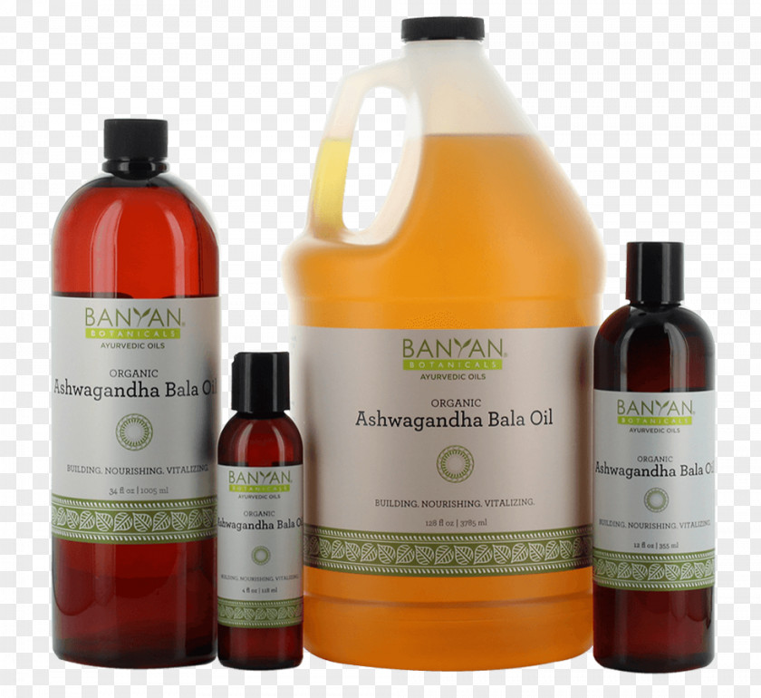 Oil Rennet Abhyanga Ayurveda Vata PNG