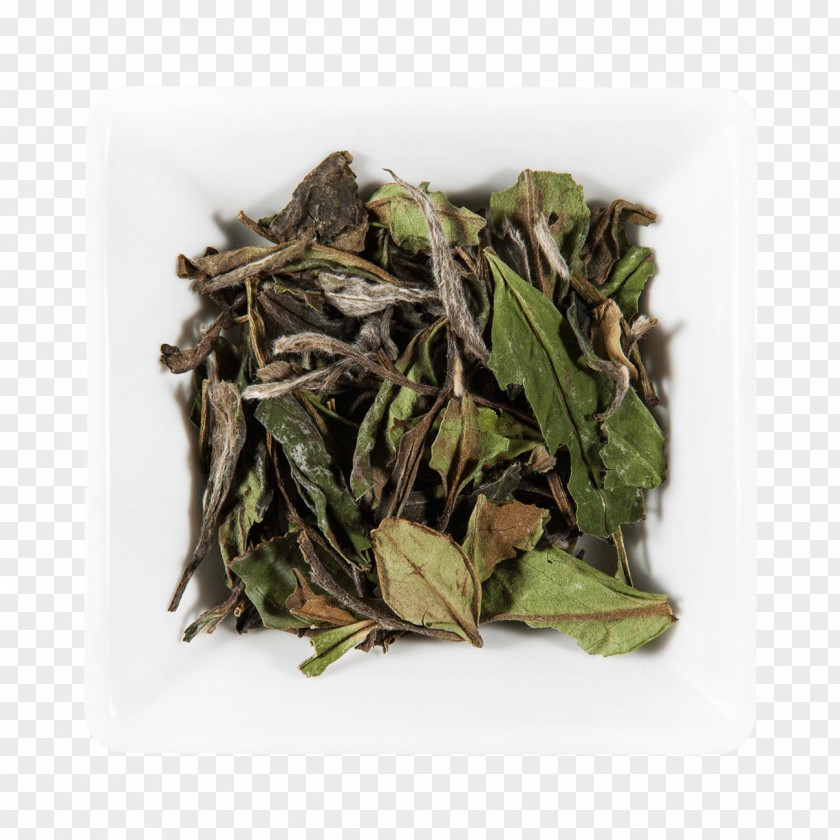 Tea Bai Mudan Nilgiri White Tin Box PNG