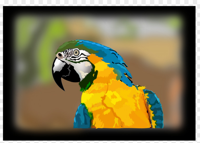 Blue-and-yellow Macaw Clip Art PNG