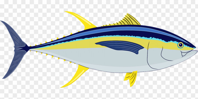 Bony Fishes True Tunas Fish Milkfish Oily PNG