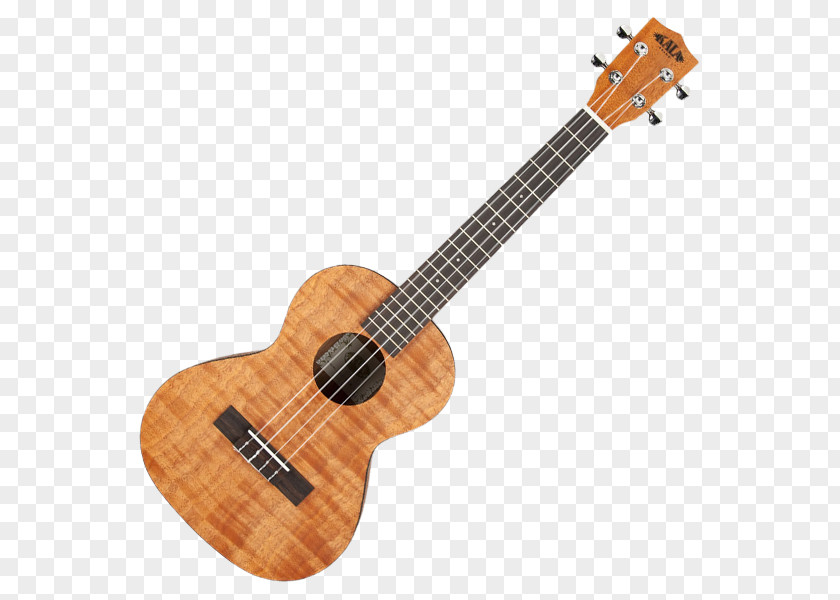 Guitar Ukulele Banjo Uke Oscar Schmidt Inc. PNG