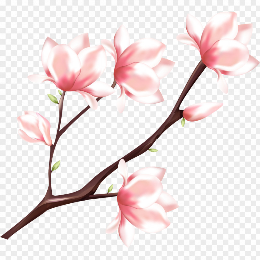 Peach Blossom Watercolor Painting PNG