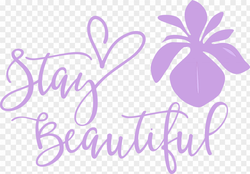 Stay Beautiful Fashion PNG