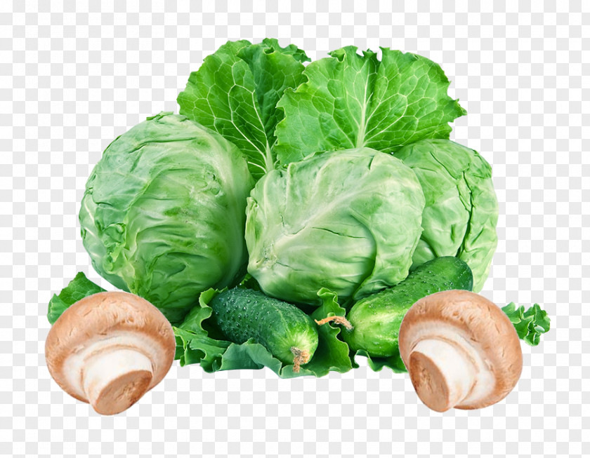 A Cabbage And Cucumber Red Coleslaw Cauliflower T-shirt PNG