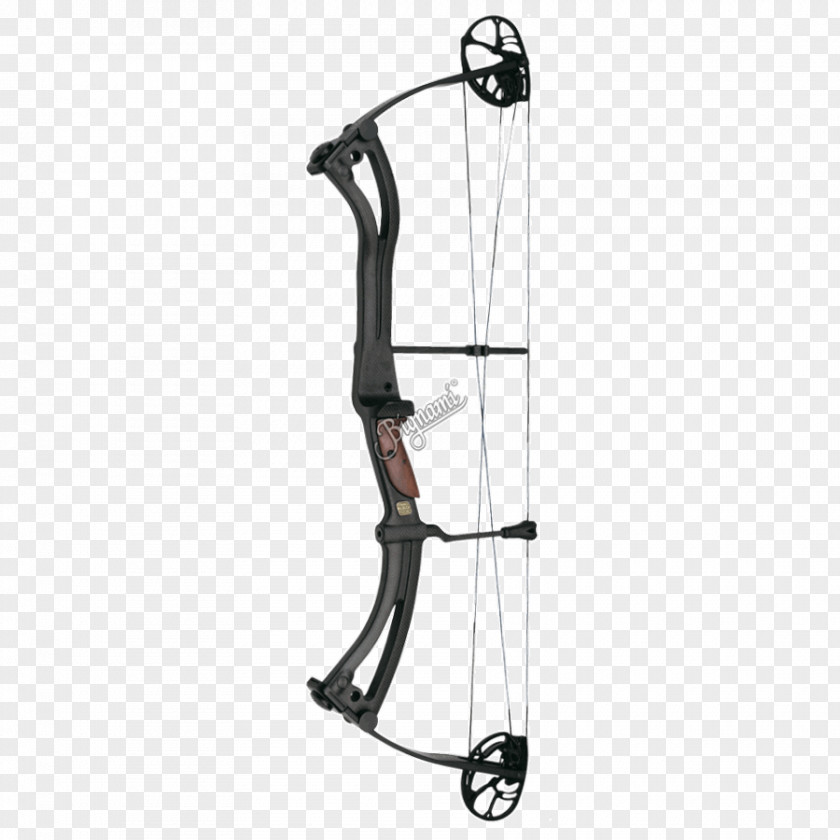 Bow Compound Bows Archery Hunting And Arrow PNG