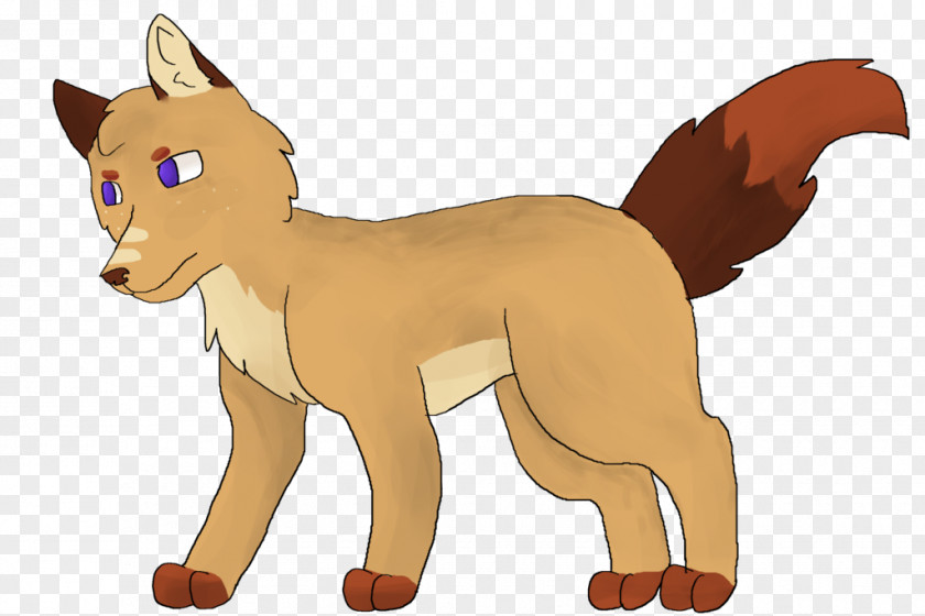 Cat Whiskers Dog Red Fox Fur PNG