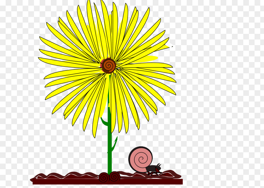 Flower Illustration Drawing Yellow Clip Art PNG