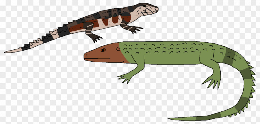 Northern Caiman Lizard Common Iguanas Reptile Crocodile Gecko PNG