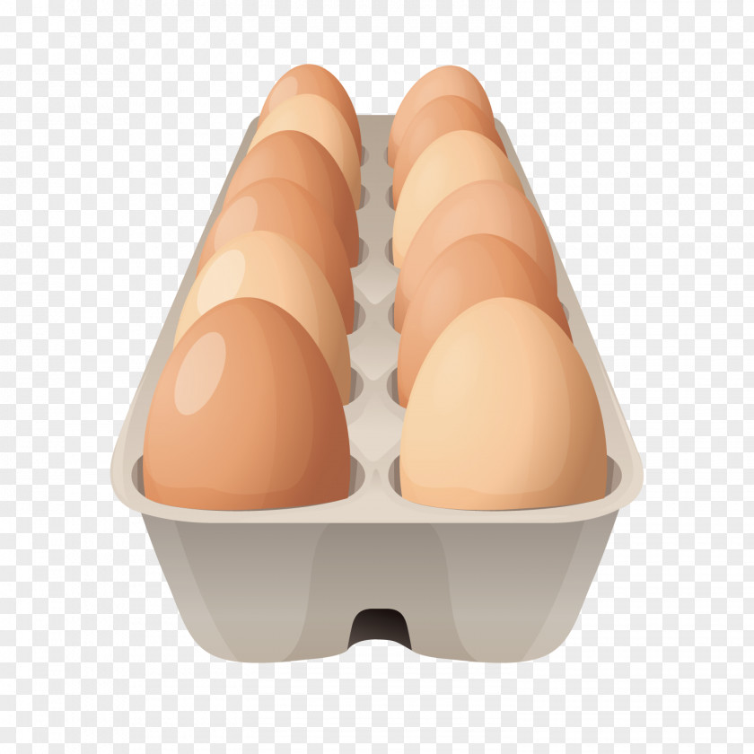 Vector A Box Of Eggs Breakfast Egg Carton Clip Art PNG