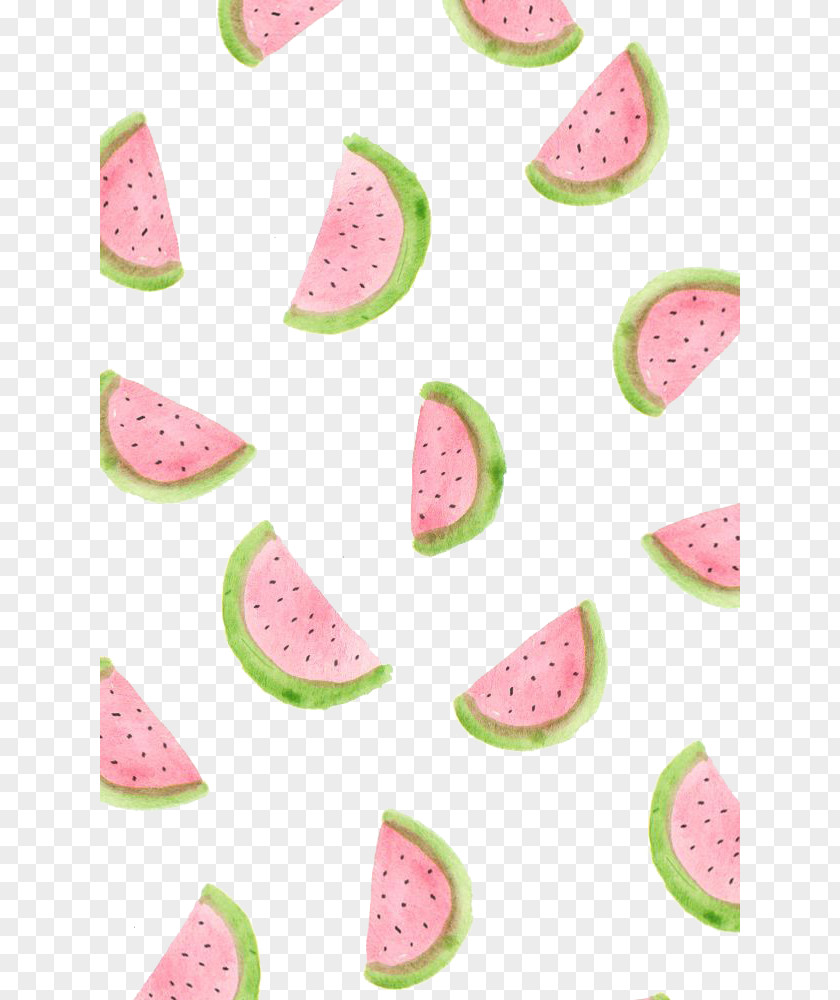 Watermelon Hand-painted Background IPhone 6 Plus 4 5 Wallpaper PNG
