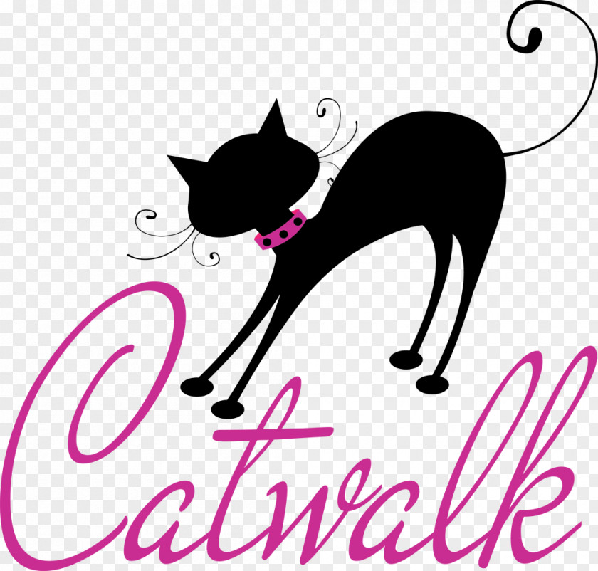 Cat Lady Whiskers Design Curtain PNG