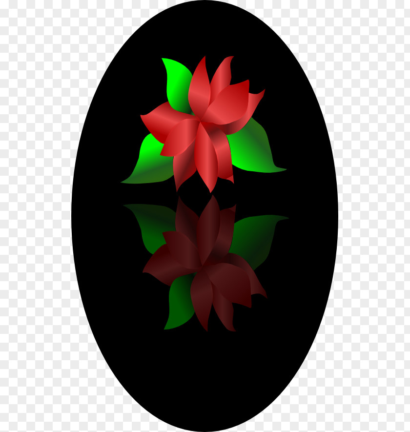 Poinsettias Pictures Poinsettia Houseplant Inkscape Clip Art PNG