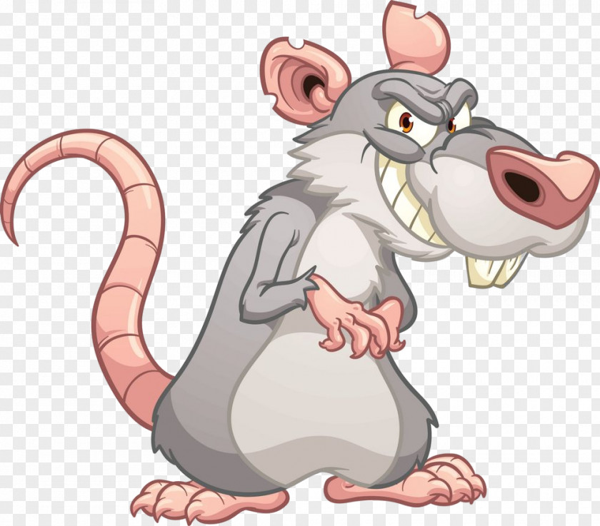 Rat Cartoon Mouse Muridae Muroidea PNG