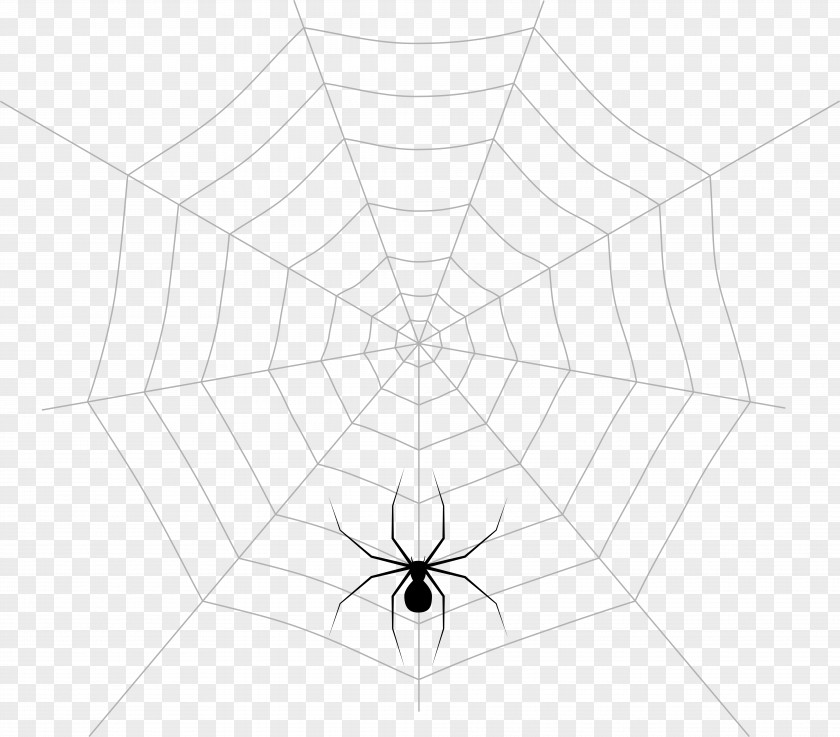 Again Graphic Spider Web Pattern Symmetry Point Angle PNG